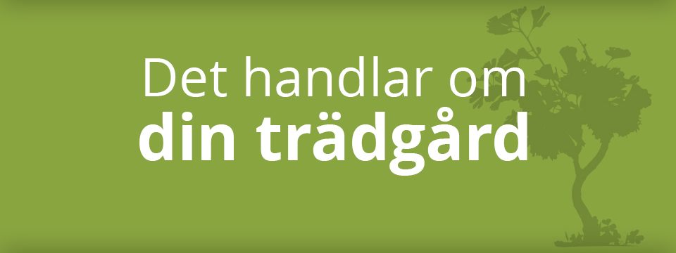 Det handlar om din trädgård