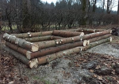 Upphöjd plantering med granstockar